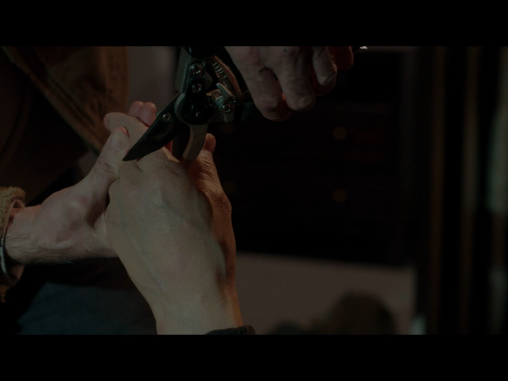 Snip
